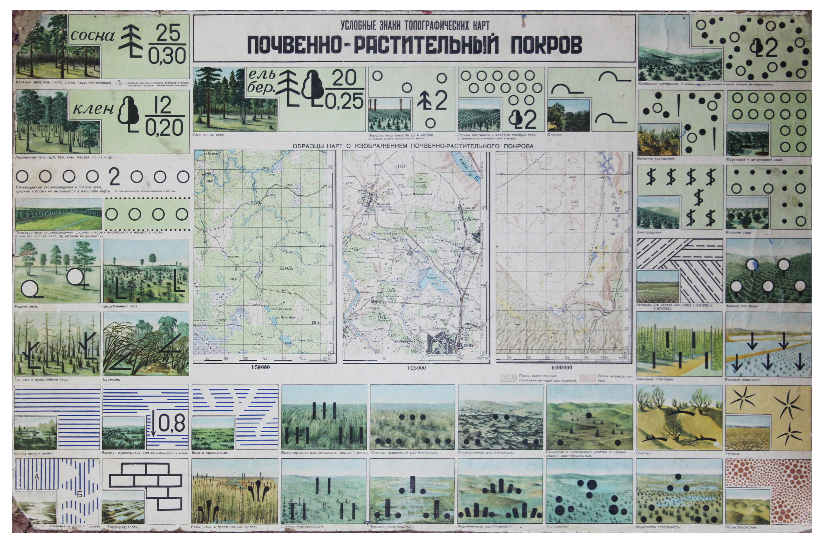 Классификация и изображение на картах почвенно растительного покрова